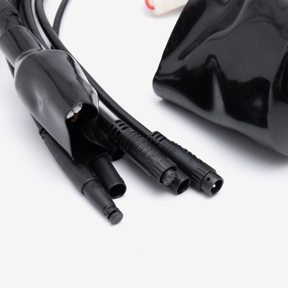 115900200-1_1000 - SUR RON USA