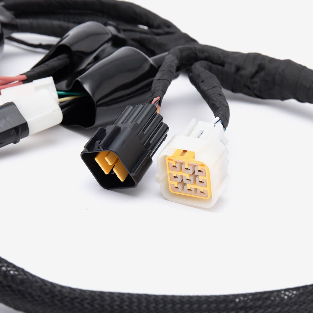 115900200-2_1000 - SUR RON USA