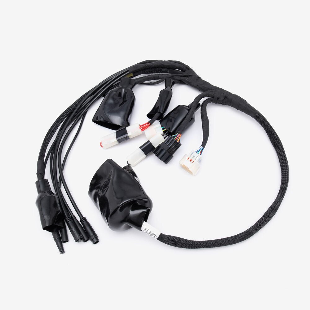 115900200_1000 - SUR RON USA