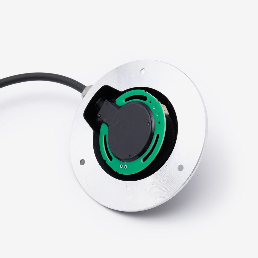 350000005-4_1000 - SUR RON USA