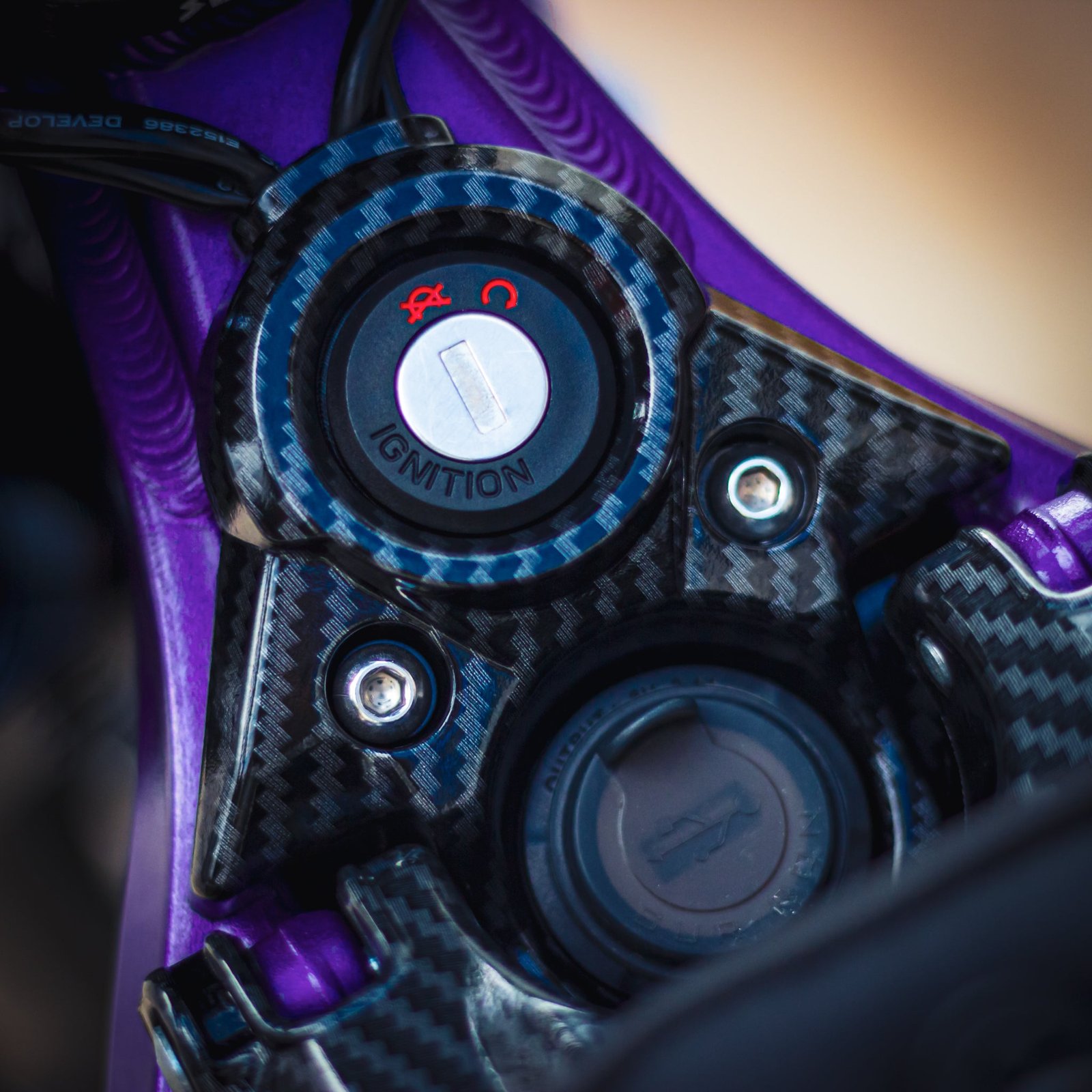 SURRONPURPLECLOSEUP-18 - SUR RON USA