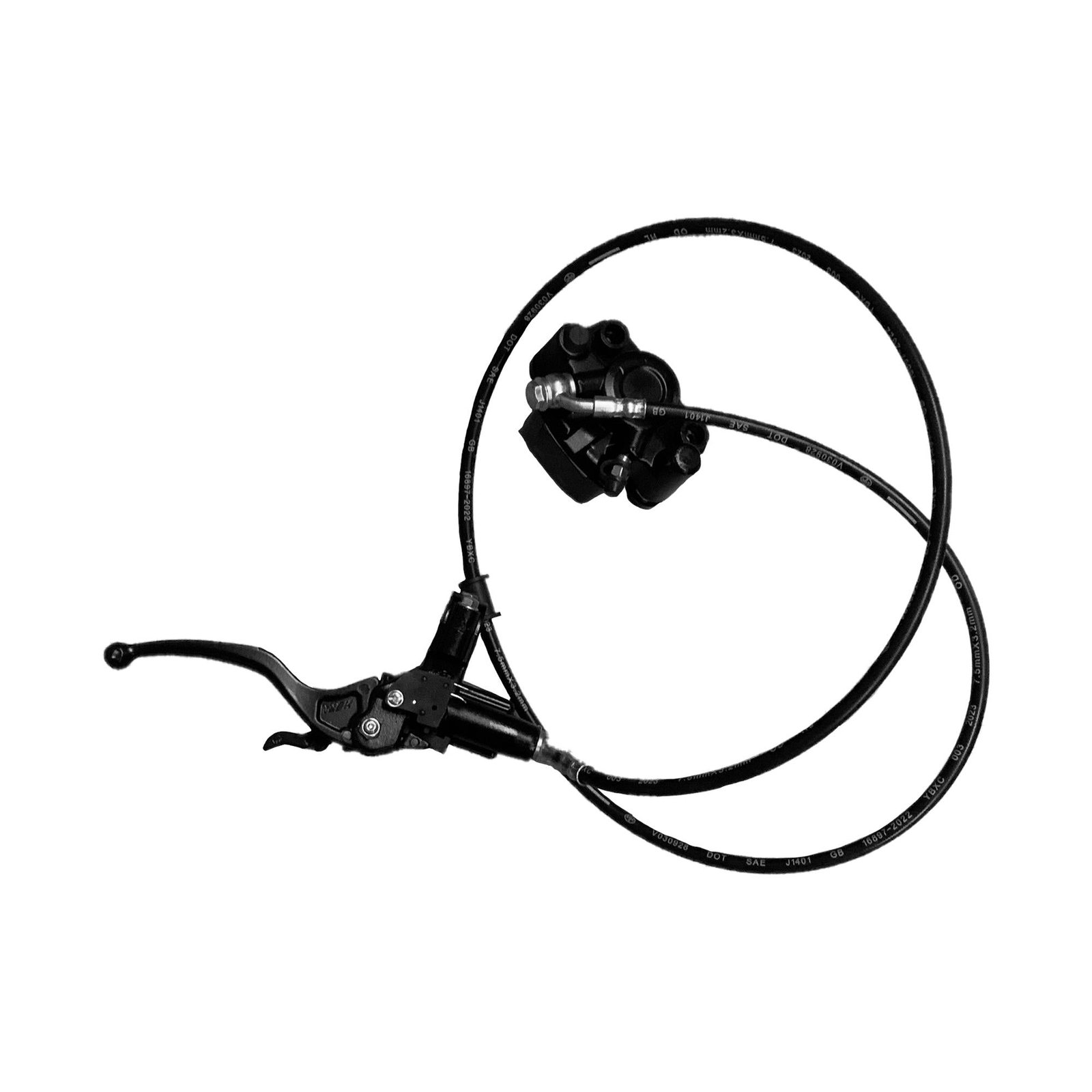 image410075320 - SUR RON USA